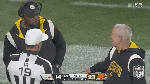 Pittsburgh Steelers Football GIF by NFL