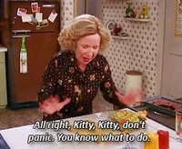 That 70S Show Kitty GIF