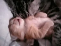 Youtube Dreaming GIF