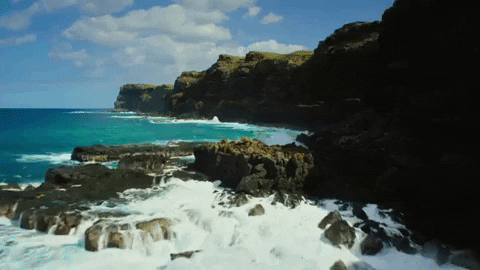 Surfing Hawaii GIF by 50statesproject