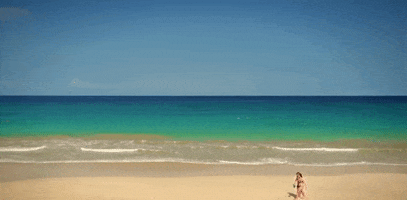 hawaii GIF