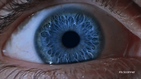 GIF by MAGTICOM