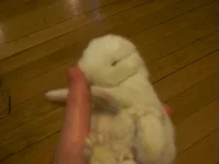 Rabbit Holding GIF