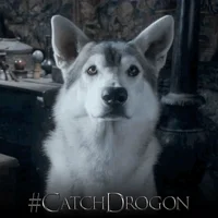 Game Of Thrones Hbo GIF by Catch Drogon
