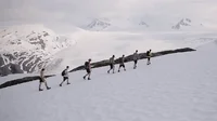 Trip GIF