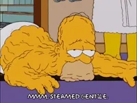 Homer Simpson Spa GIF