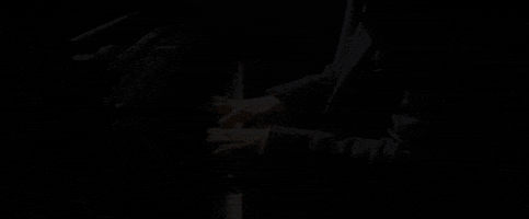 love story club GIF by La La Land