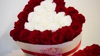 Usa Love GIF by M2 Studios