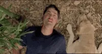 Lost Dog GIF