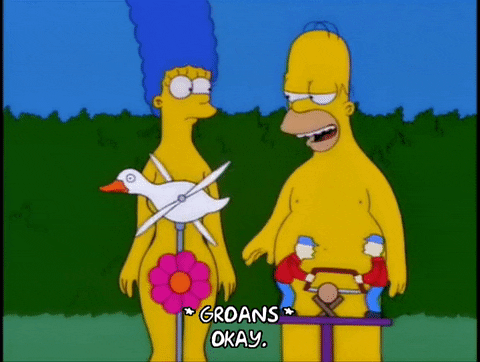 homer simpson lawn GIF