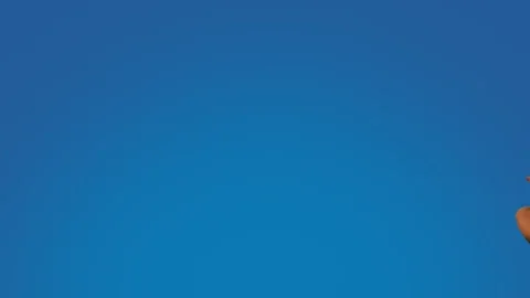 Hungry Cookie Monster GIF by Sesame Street