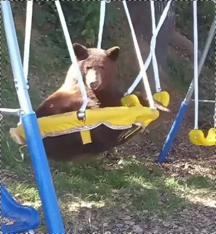 Chilling Hang Out GIF