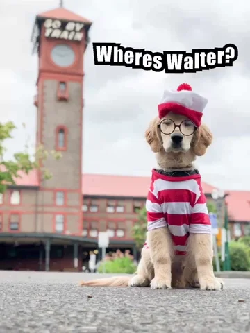 Where's Waldo GIF
