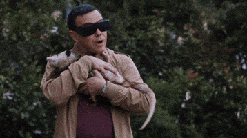 Joe Lo Truglio Hug GIF by Brooklyn Nine-Nine


inFLux English School: Você sabe o que é "pet peeve" em inglês?
