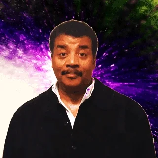 giphy.webp