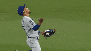 Lets Go Yes GIF by MLB