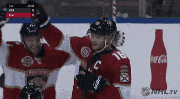 ice hockey hug GIF by NHL