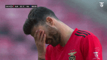 Sl Benfica Facepalm GIF by Sport Lisboa e Benfica