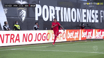 Sl Benfica Darwin GIF by Sport Lisboa e Benfica
