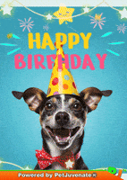 Happy Birthday Taylor GIF by PetJuvenate - PJ