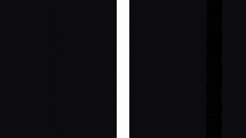 black and white loop GIF by A. L. Crego