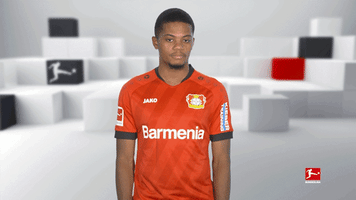 No Way Stop GIF by Bundesliga
