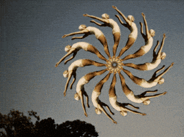 animation animated gif GIF by weinventyou