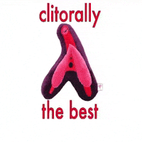 The Best Fun GIF by I Heart Guts