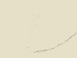 disney princess beauty GIF by Disney