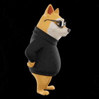 Sassy Shiba Inu GIF by Doge Pound