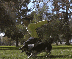 Dog Celebrate GIF