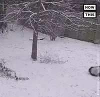 Sledding Snow Day GIF by NowThis