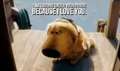 I Love You Reaction GIF via llamasandpugs.tumblr.com