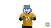 Ice Hockey Sport GIF by NHL via giphy.com