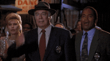 Naked Gun Facepalm GIF