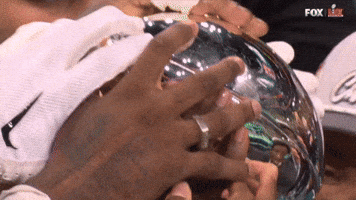 Philadelphia Eagles Birds GIF by TheDreamTeam