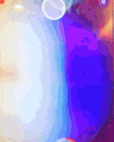 snapchat gif GIF by Trippyogi