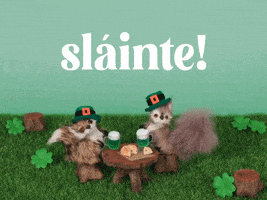 St Patricks Day Cheers GIF by Stephanie