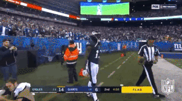 2018 nfl football GIF by NFL