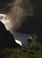 landscape river GIF by Head Like an Orange