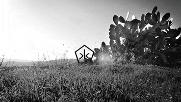 black and white art GIF by Okkult Motion Pictures