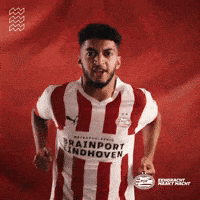 Celebrate Football Club GIF by PSV