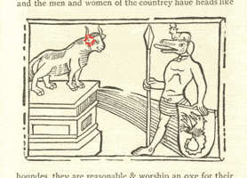 Stop No GIF by GIF IT UP