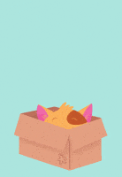 Surprise Cute Cat GIF by Educational Insights