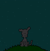 Good Morning My Love GIF by Chippy the Dog