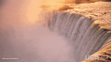 america wild GIF by Visit The USA