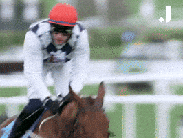 Sport Yes GIF by The Jockey Club