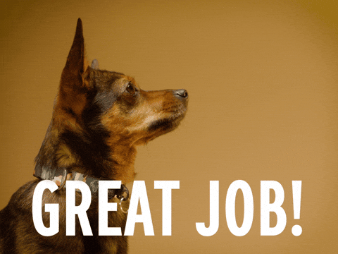 I Love You GIF by Sealed With A GIF (GIF Image)