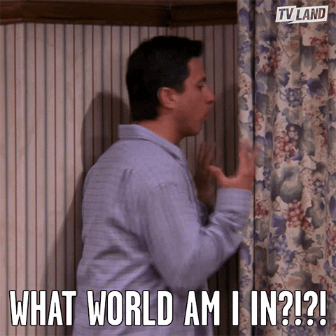 Angry What Is This GIF by TV Land (GIF Image)
