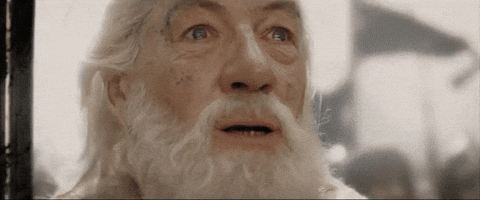 Giphy - its beautiful teh lurd of teh rings GIF